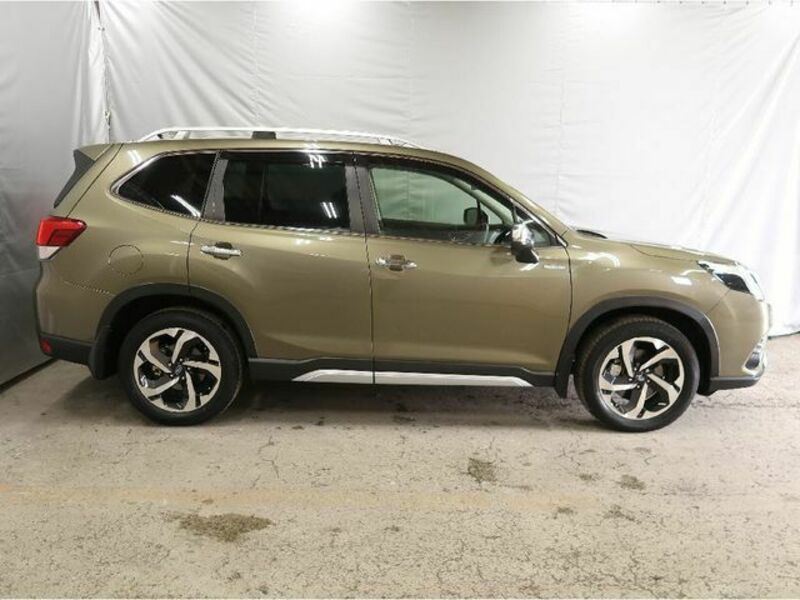 FORESTER-25