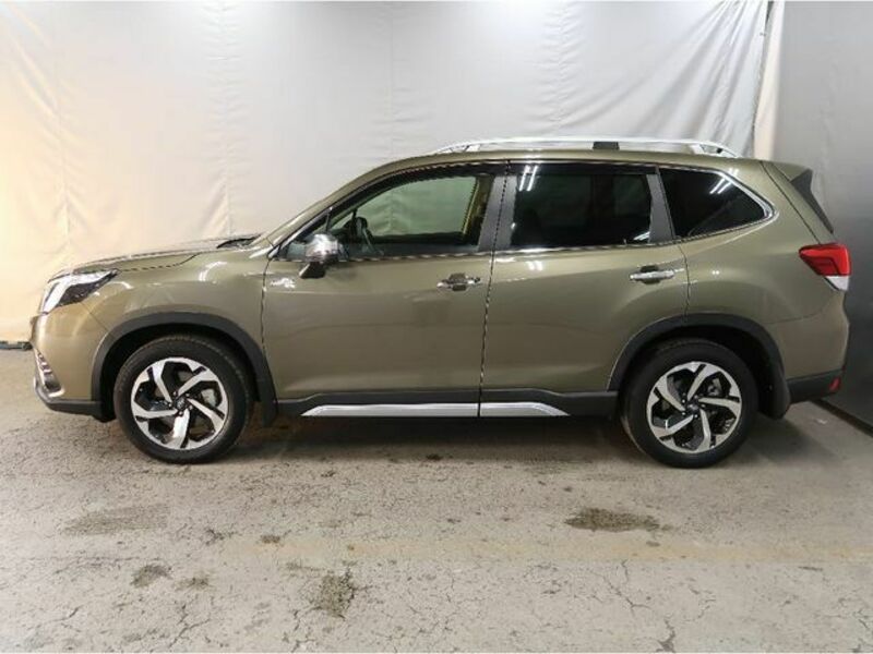FORESTER-26