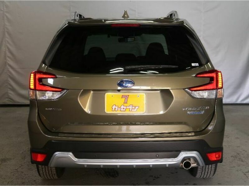 FORESTER-27