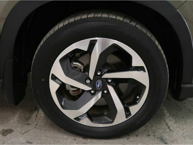 FORESTER-28