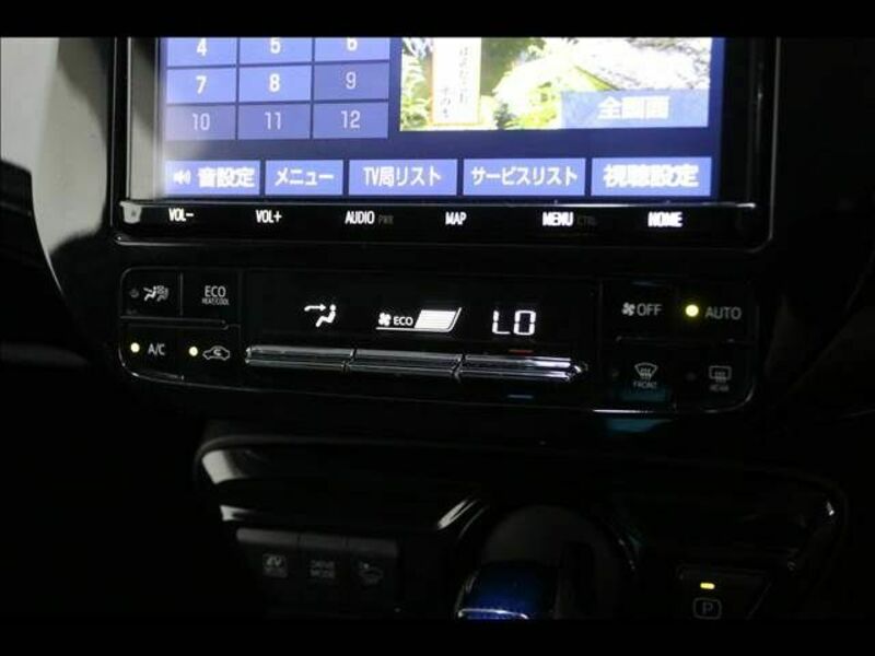 PRIUS-16