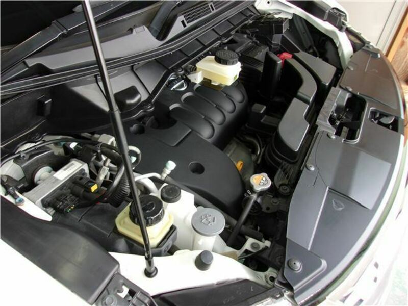 ELGRAND-18
