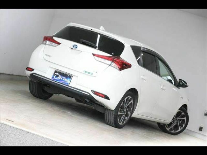 AURIS HYBRID-11