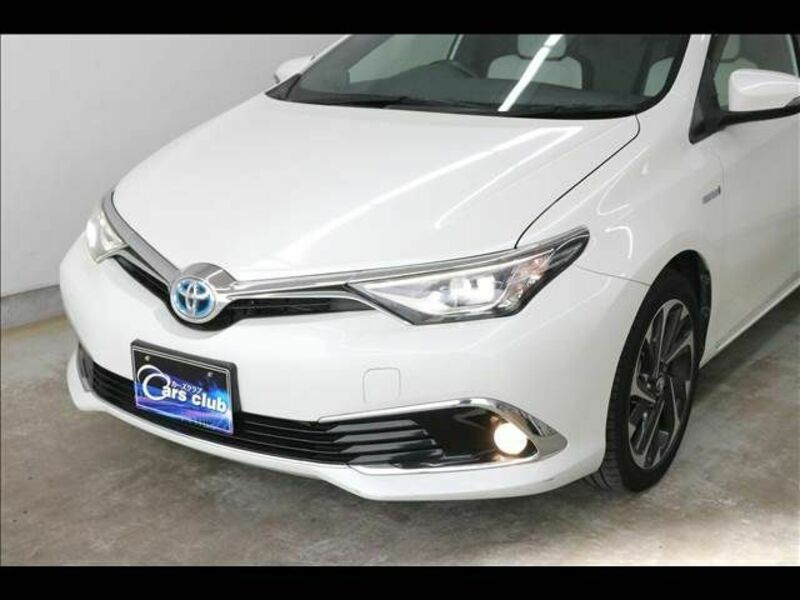 AURIS HYBRID-12