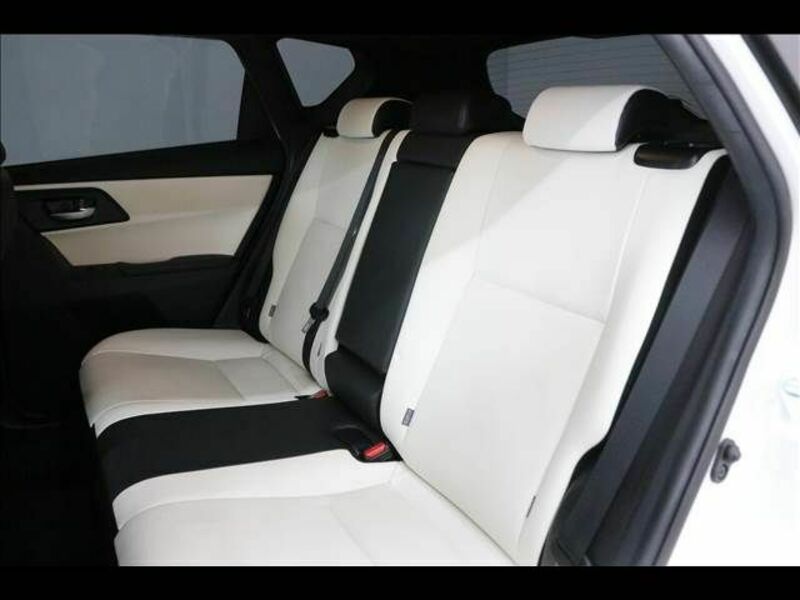 AURIS HYBRID-18