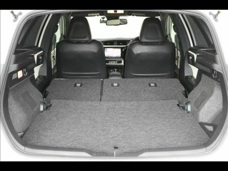AURIS HYBRID-19