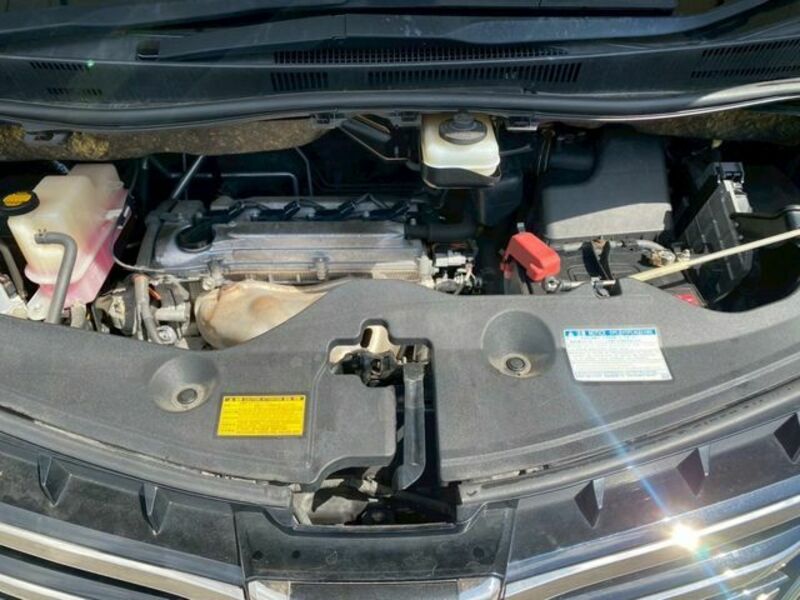 ALPHARD-28