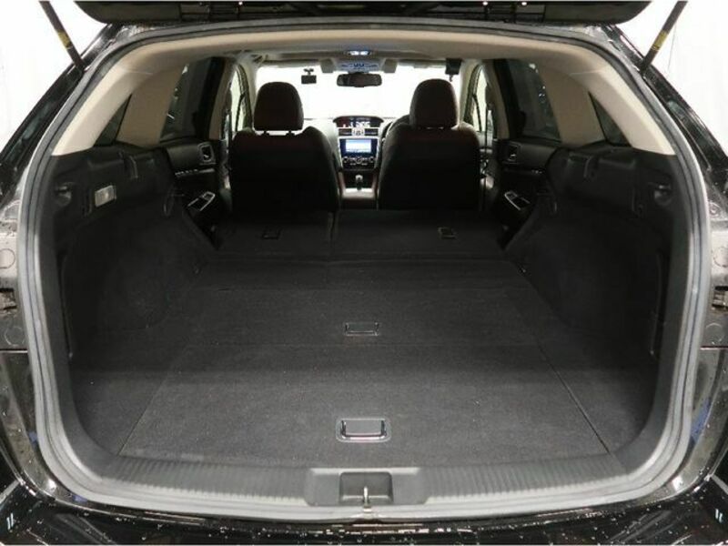 LEVORG-8