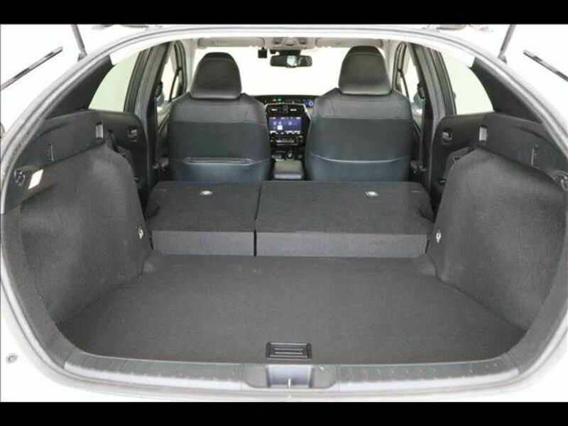 PRIUS-19