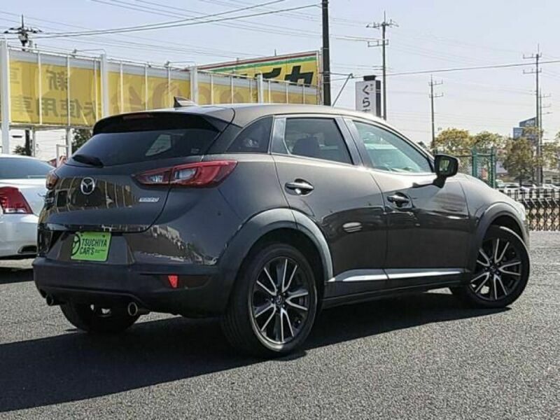 CX-3-1