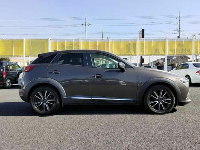 CX-3-10