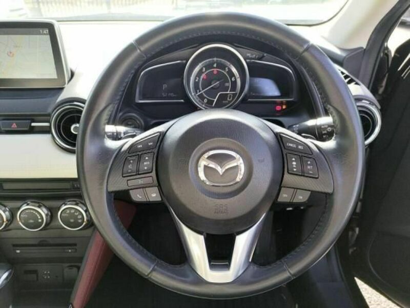 CX-3-19
