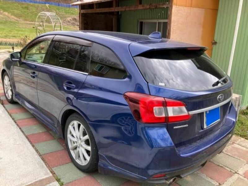 LEVORG-1