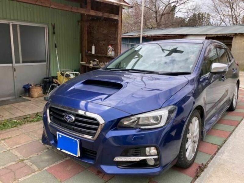 LEVORG-3
