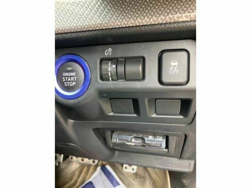 LEVORG-13