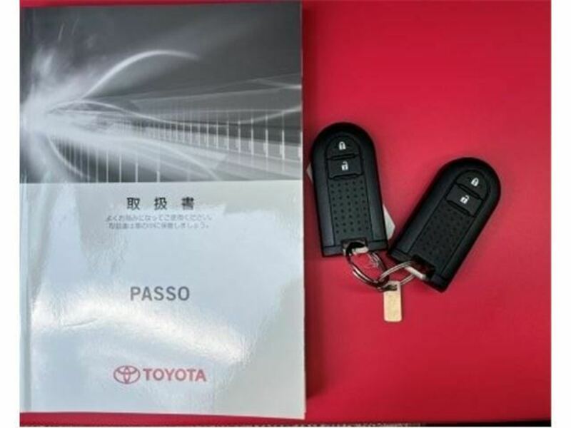 PASSO-8