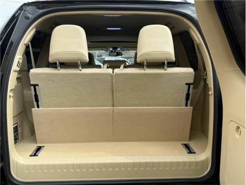 LAND CRUISER PRADO-17