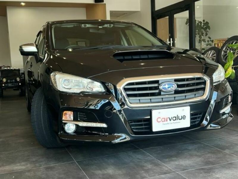 LEVORG