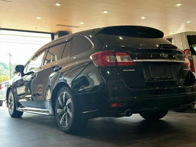LEVORG