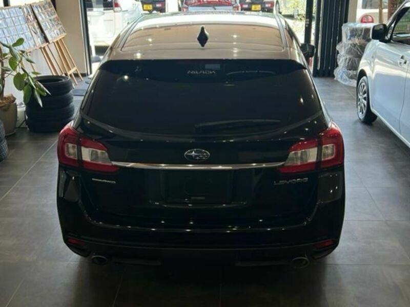 LEVORG