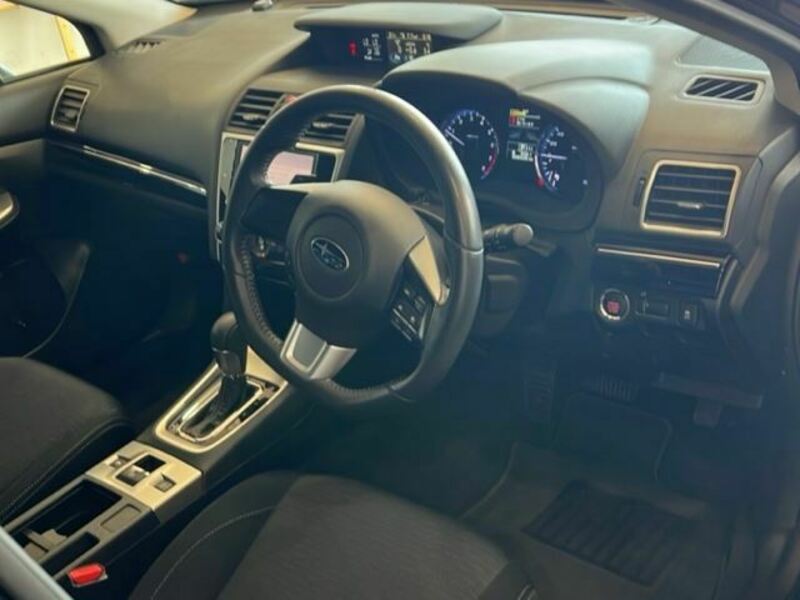 LEVORG