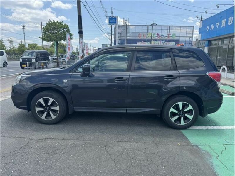 FORESTER-4