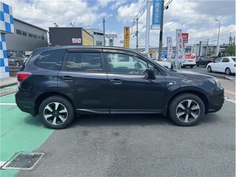 FORESTER-6