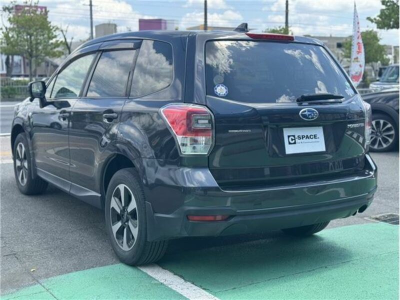 FORESTER-10