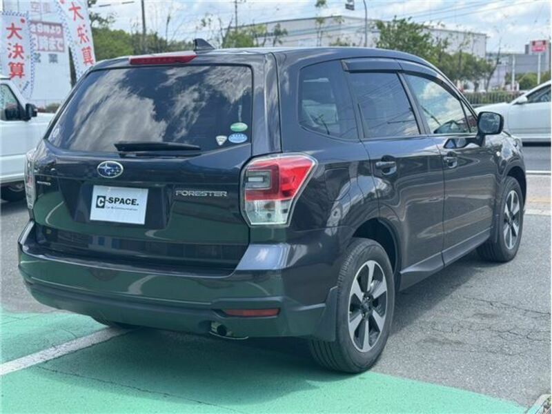 FORESTER-11