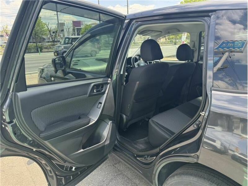 FORESTER-29