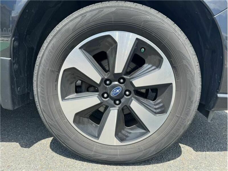 FORESTER-43