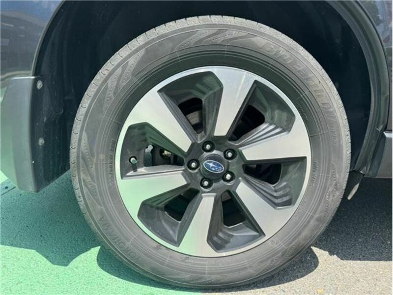 FORESTER-44