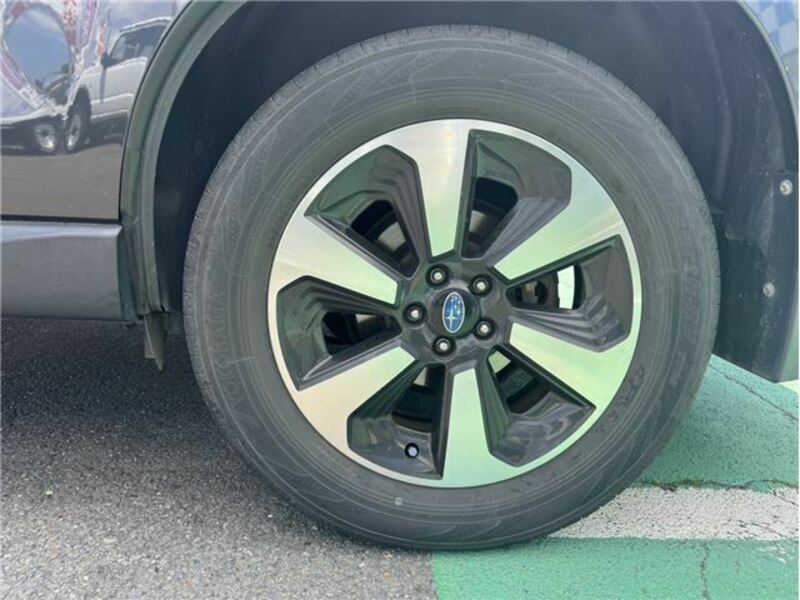 FORESTER-45