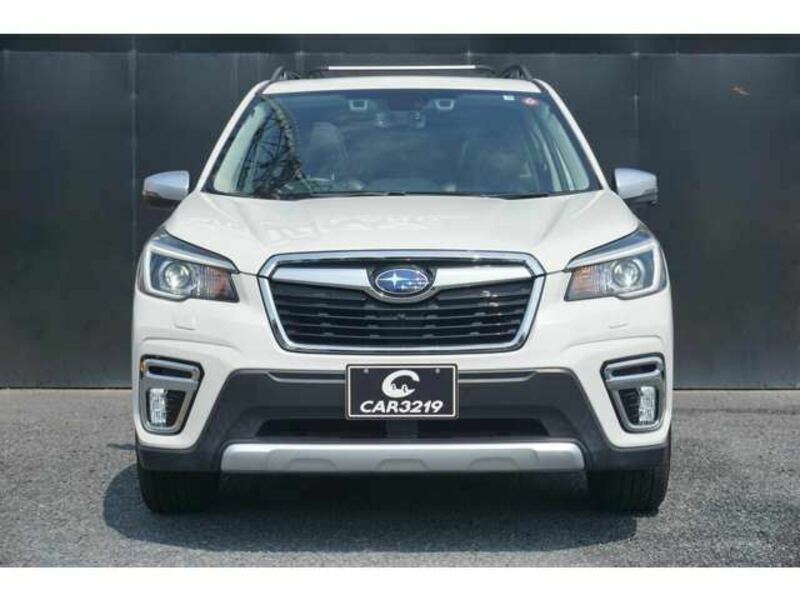 FORESTER-1