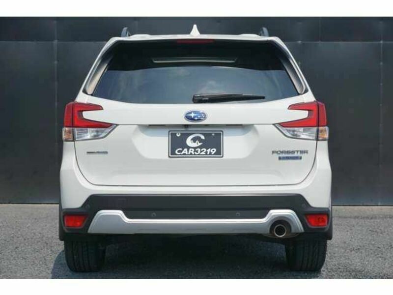FORESTER-2