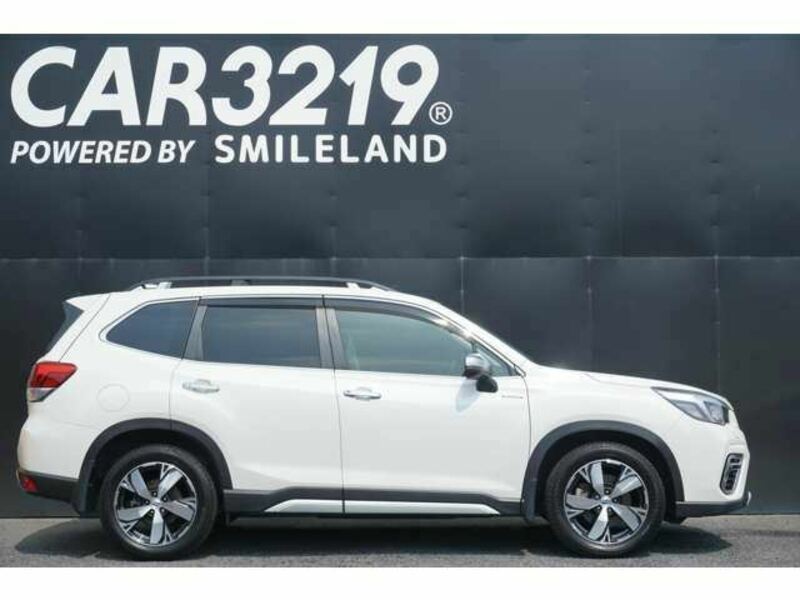 FORESTER-3