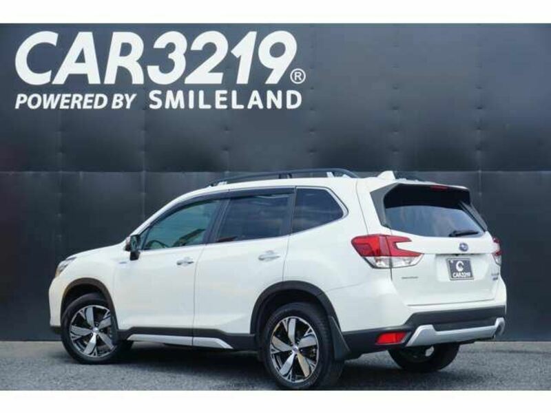FORESTER-7