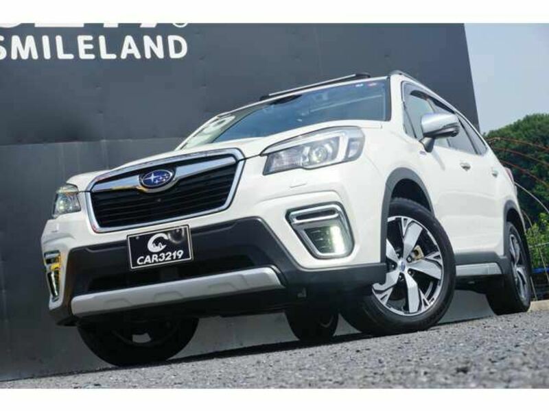 FORESTER-19