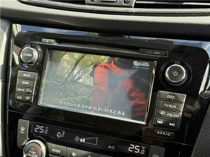 X-TRAIL-16
