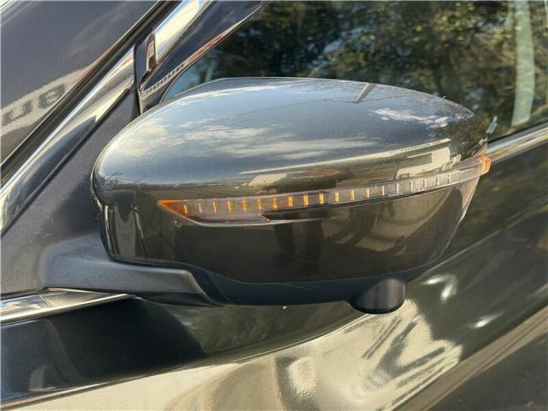 X-TRAIL-31