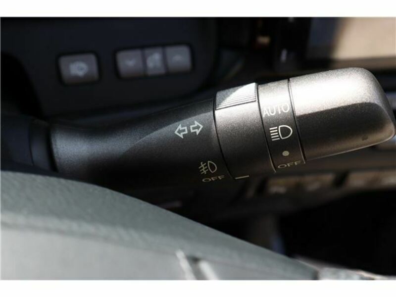 LS-19