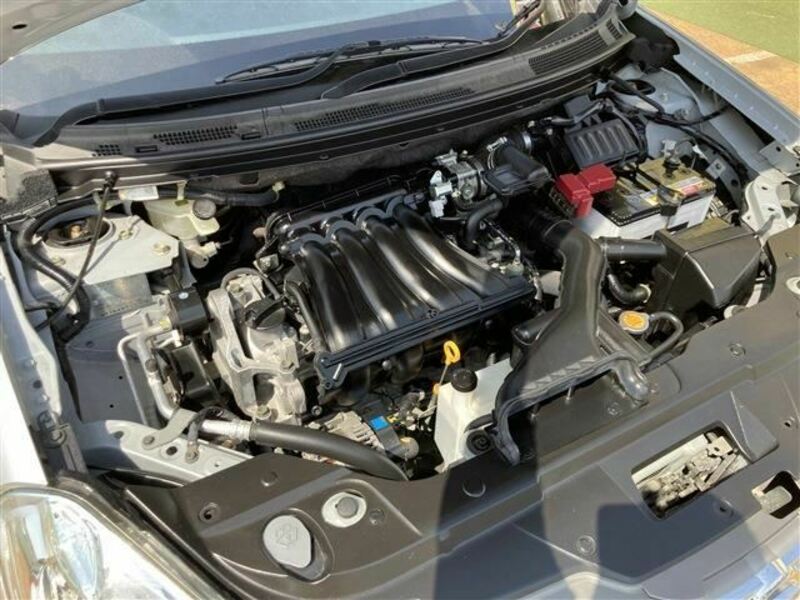 BLUEBIRD SYLPHY-19