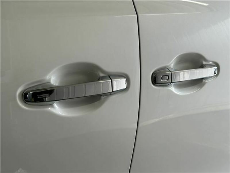 ALPHARD-10