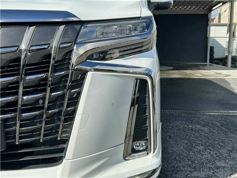 ALPHARD-12
