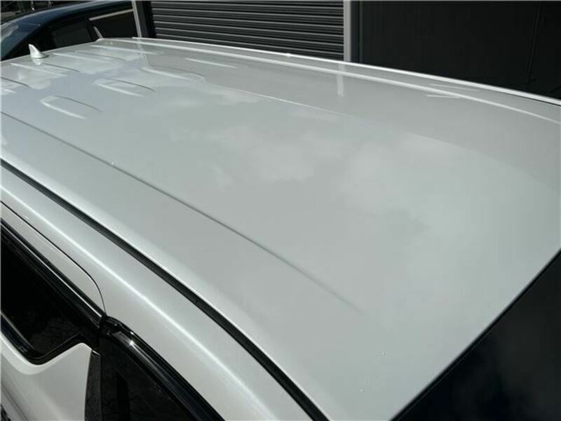 ALPHARD-13