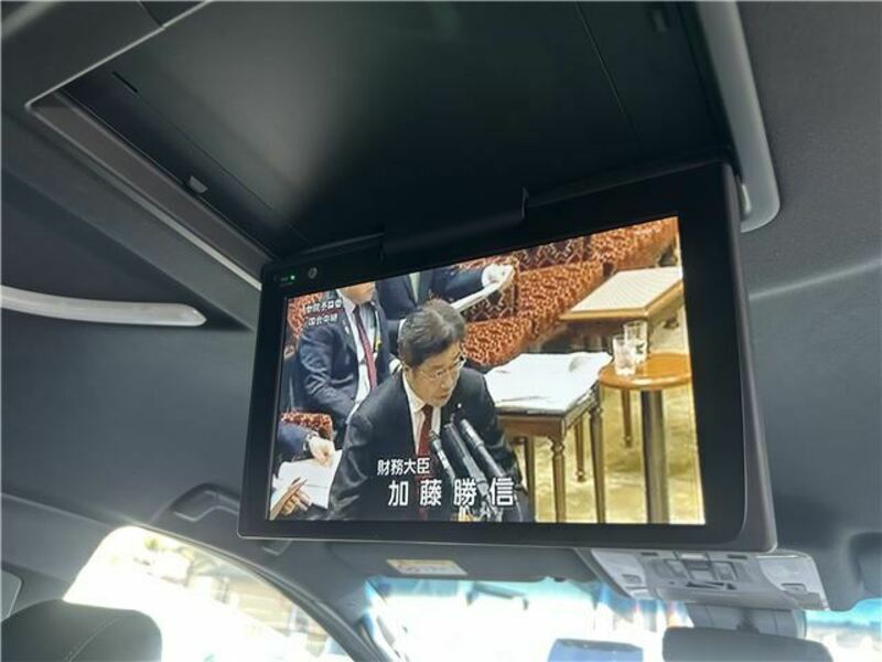 ALPHARD-38