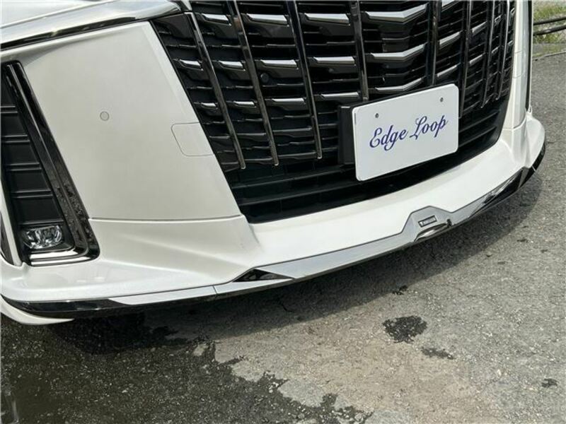 ALPHARD-42