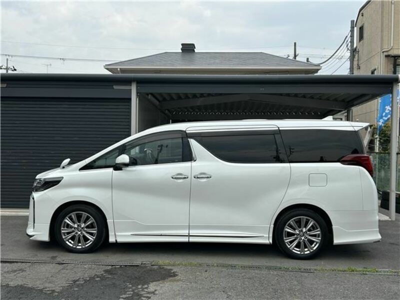 ALPHARD-49