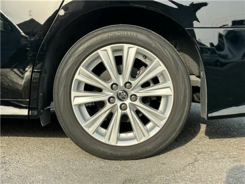ALPHARD-10