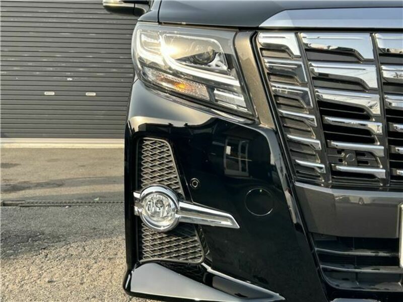 ALPHARD-12